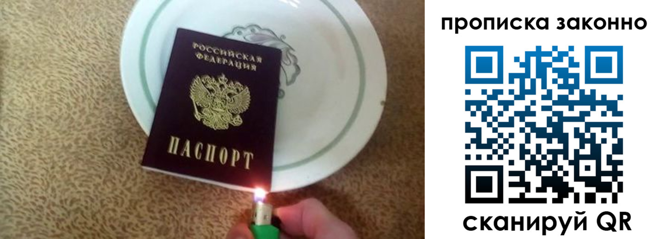 прописка поиск в Краснозаводске